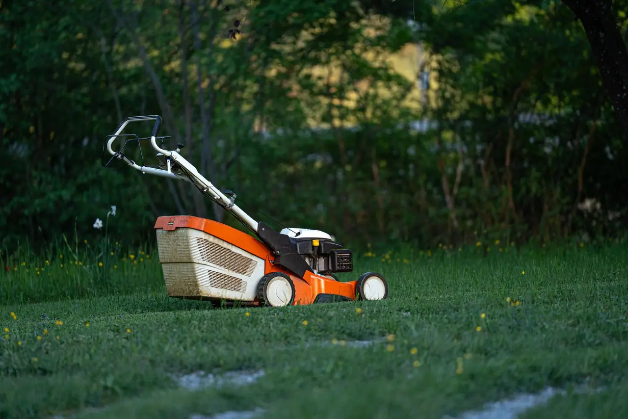 Lawn care