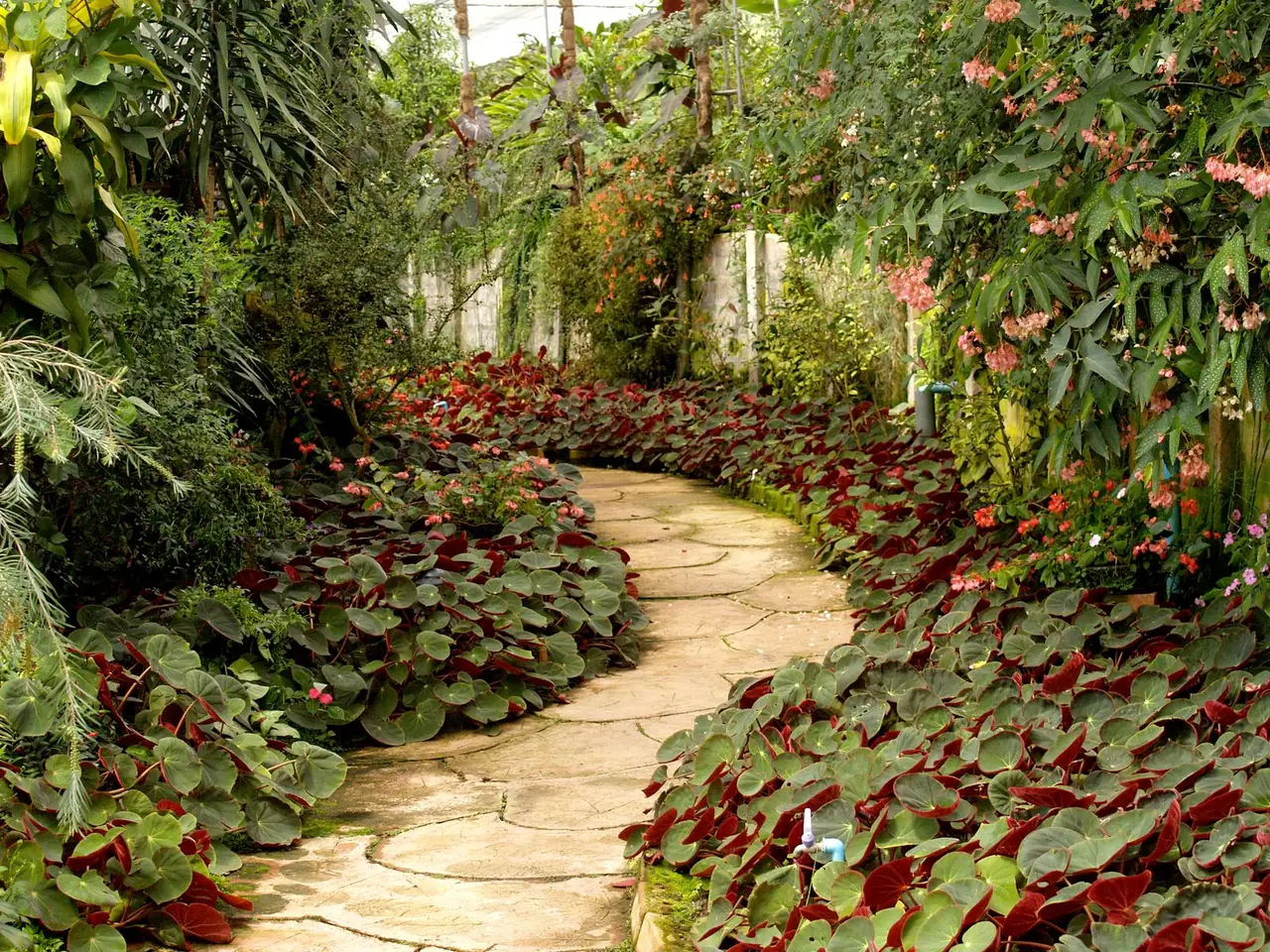 Stone path