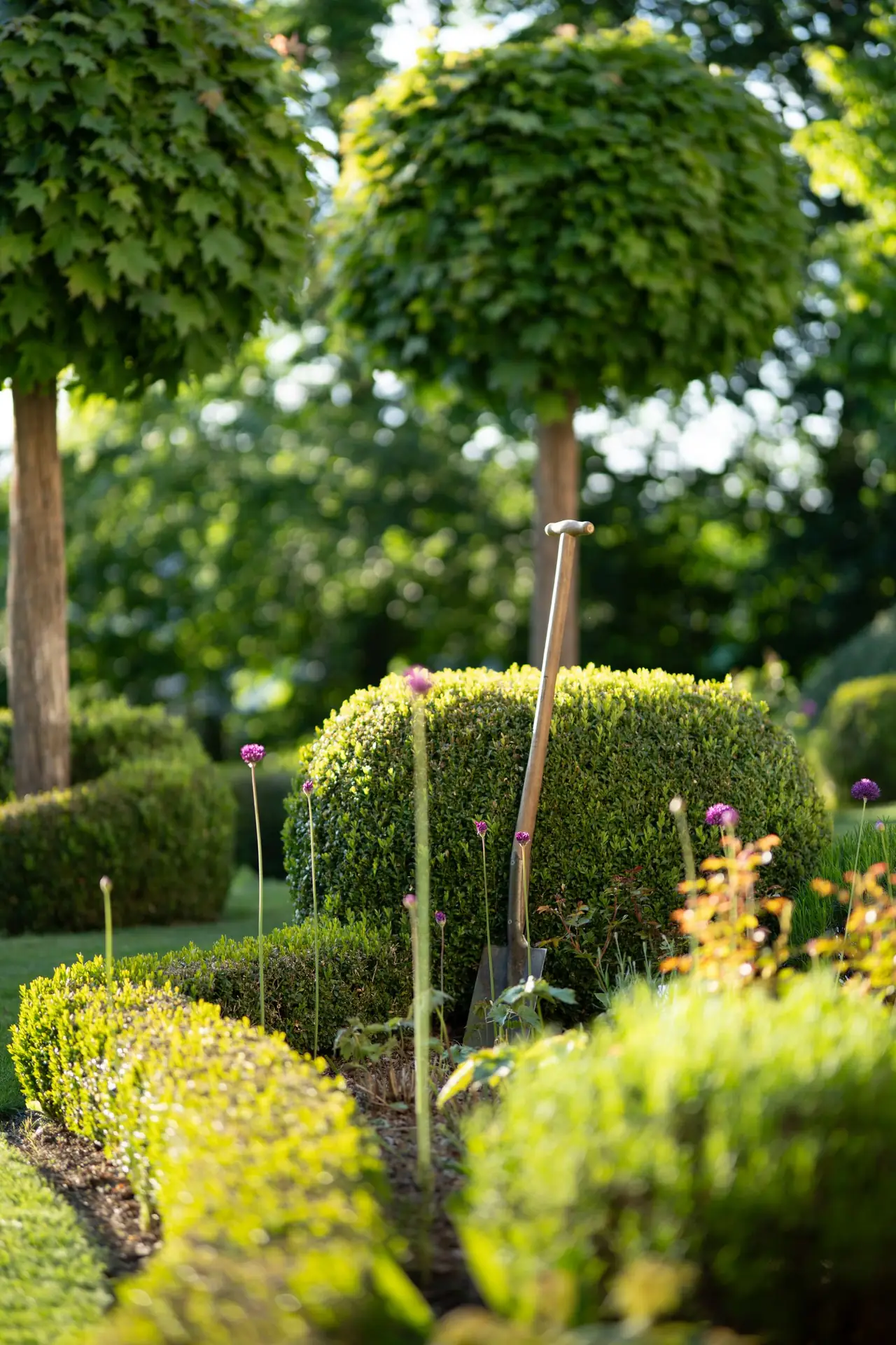 Structured planting